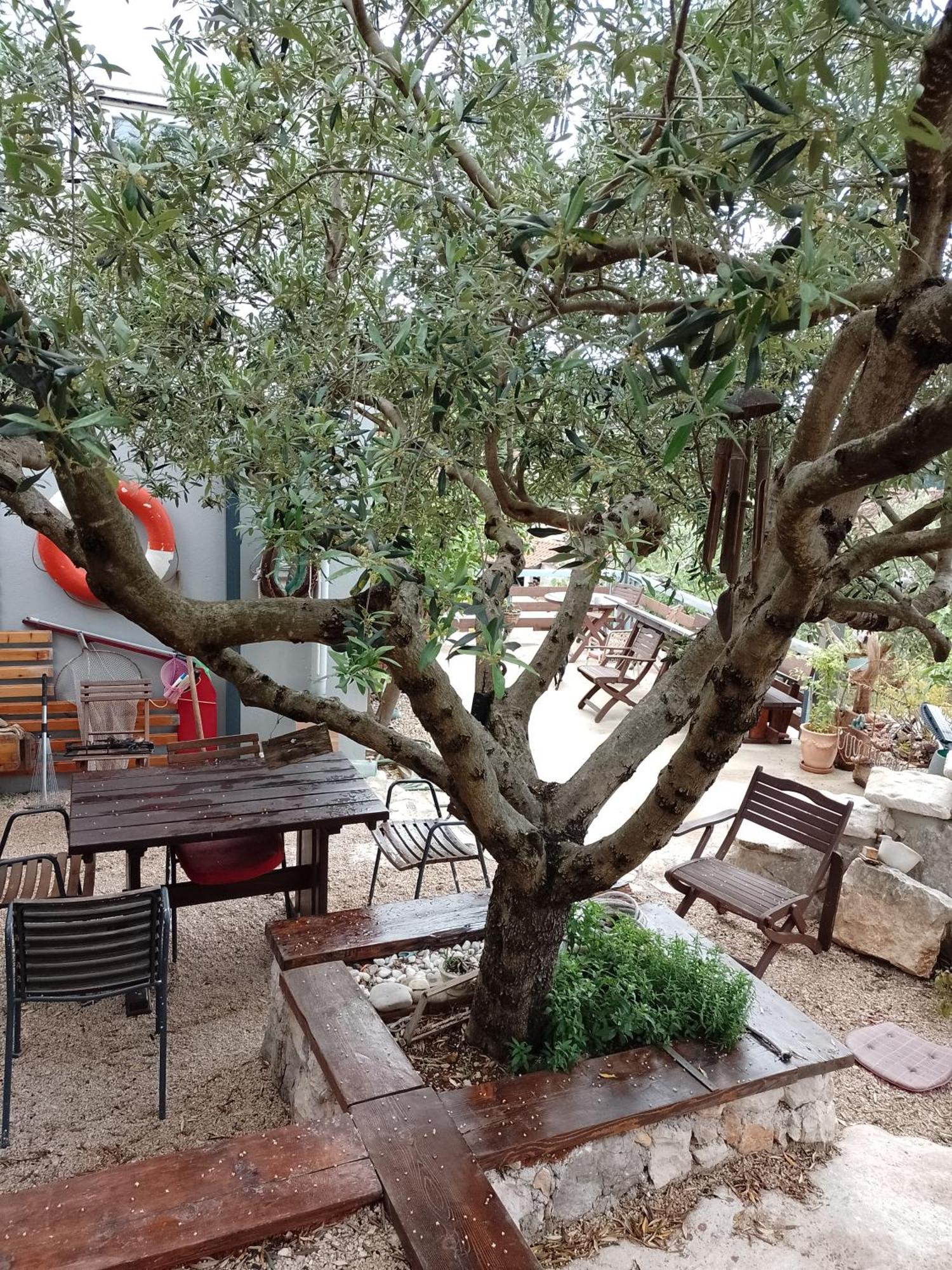 Roberto Apartment Bacina Zewnętrze zdjęcie